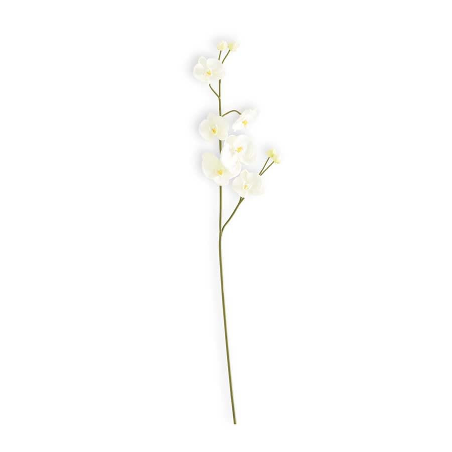 30.5" White Real Touch Orchid Stem