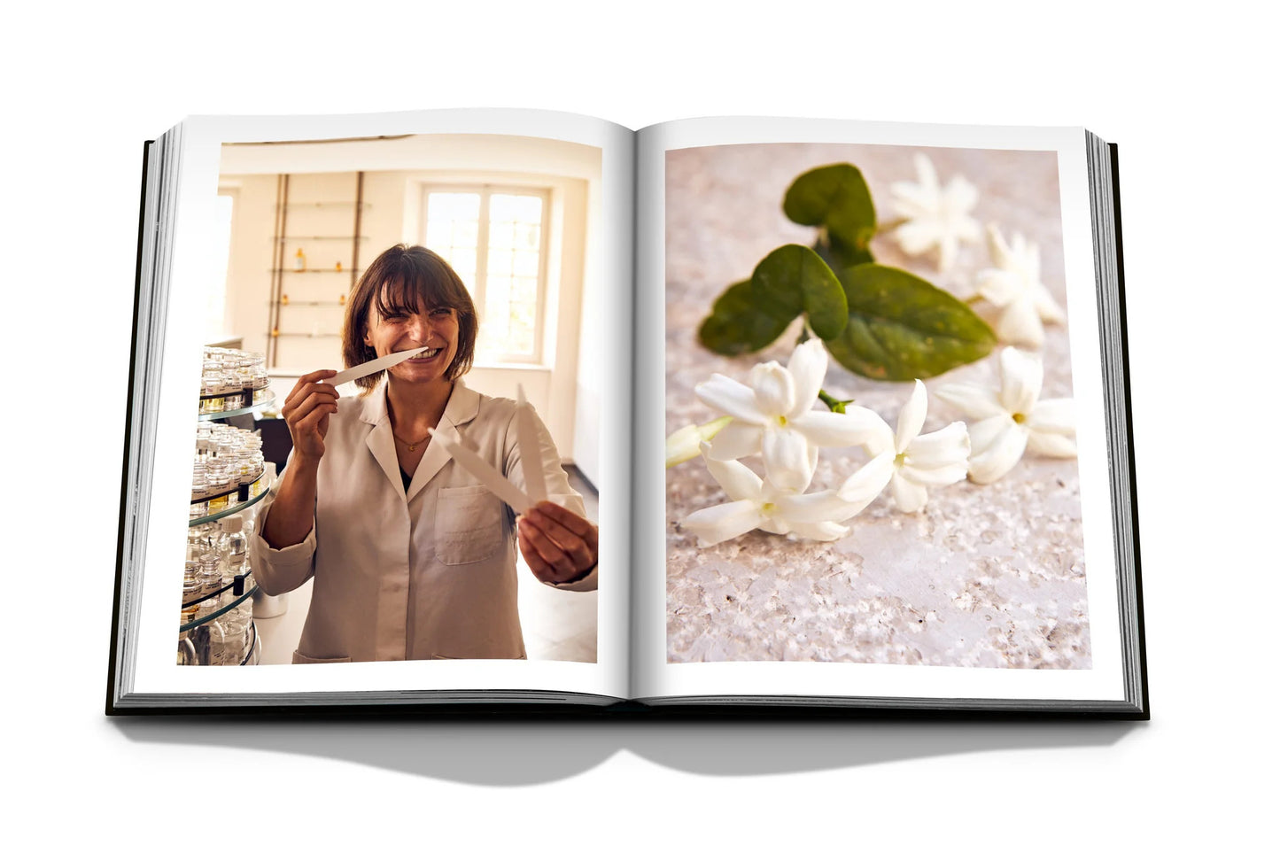 Louis Vuitton Manufactures Coffee Table Book