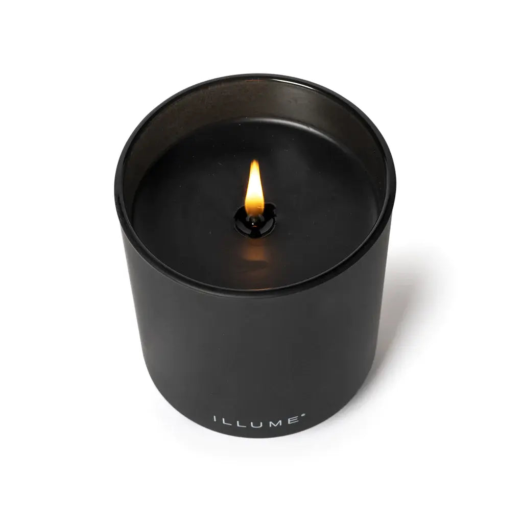 Refillable Glass Candle Gift Box | Blackberry Absinthe 10oz