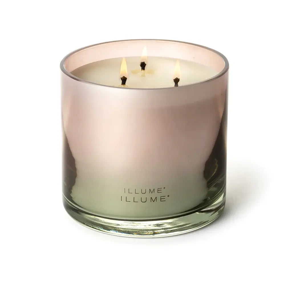 Statement Glass Candle | Coconut Milk Mango 20.8oz