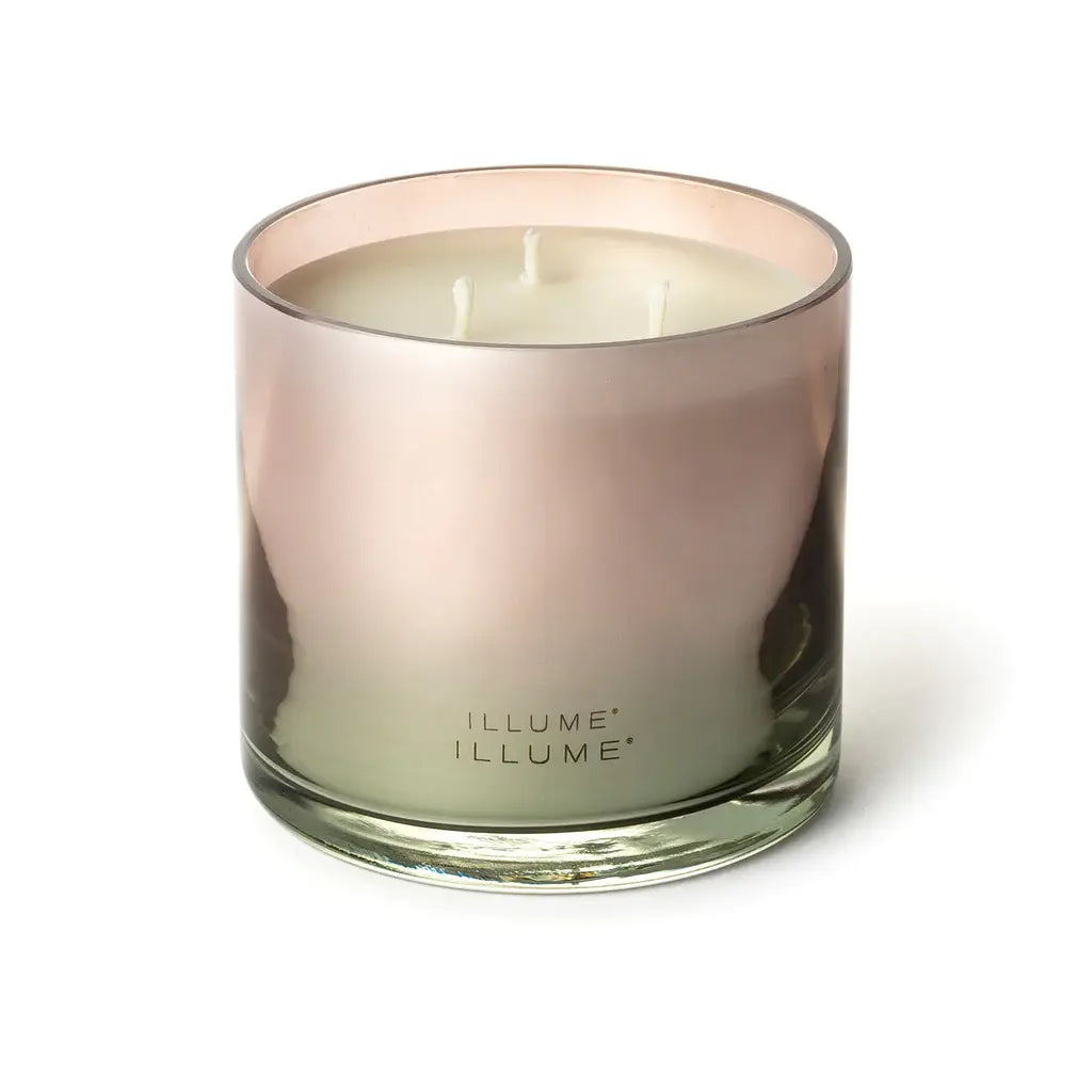 Statement Glass Candle | Coconut Milk Mango 20.8oz