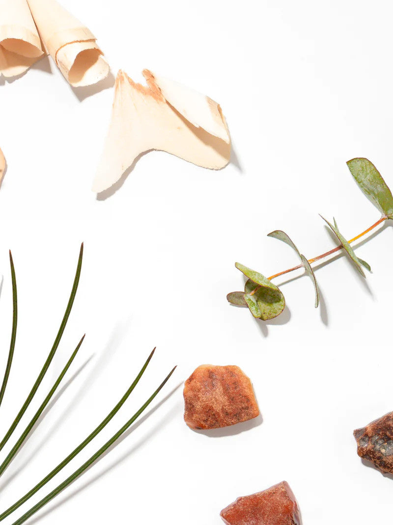 Pura Diffuser Refill | Apotheke White Vetiver