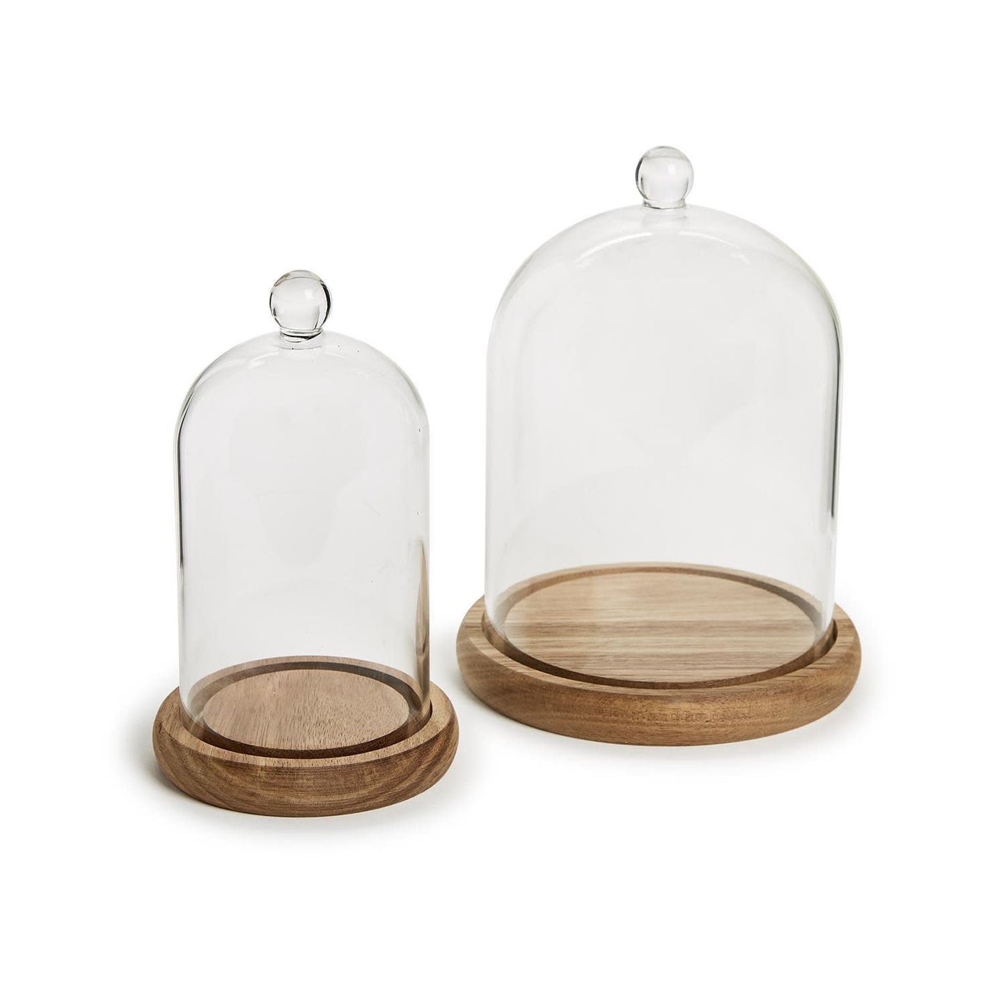 Glass Cloche + Wooden Base | 5.5x8in
