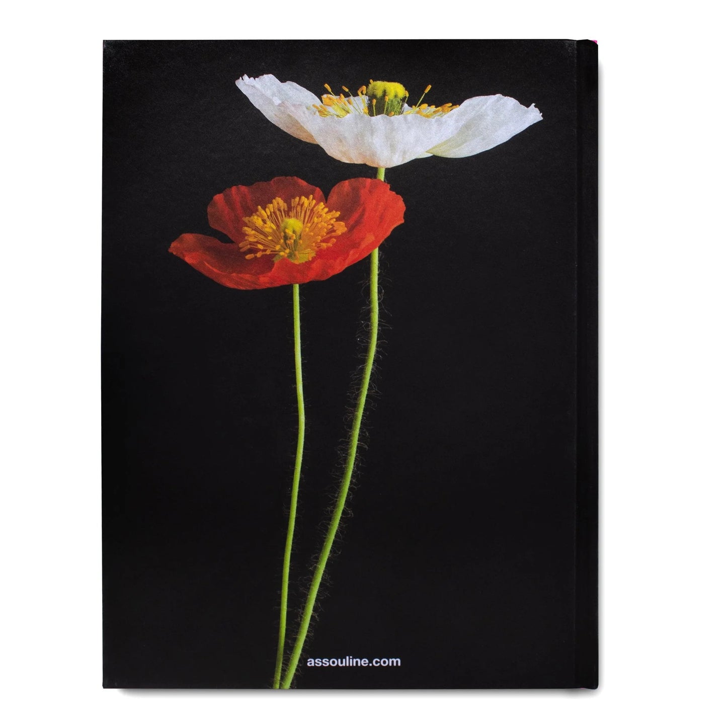 Flowers: Art + Bouquets Silk Hardcover Book
