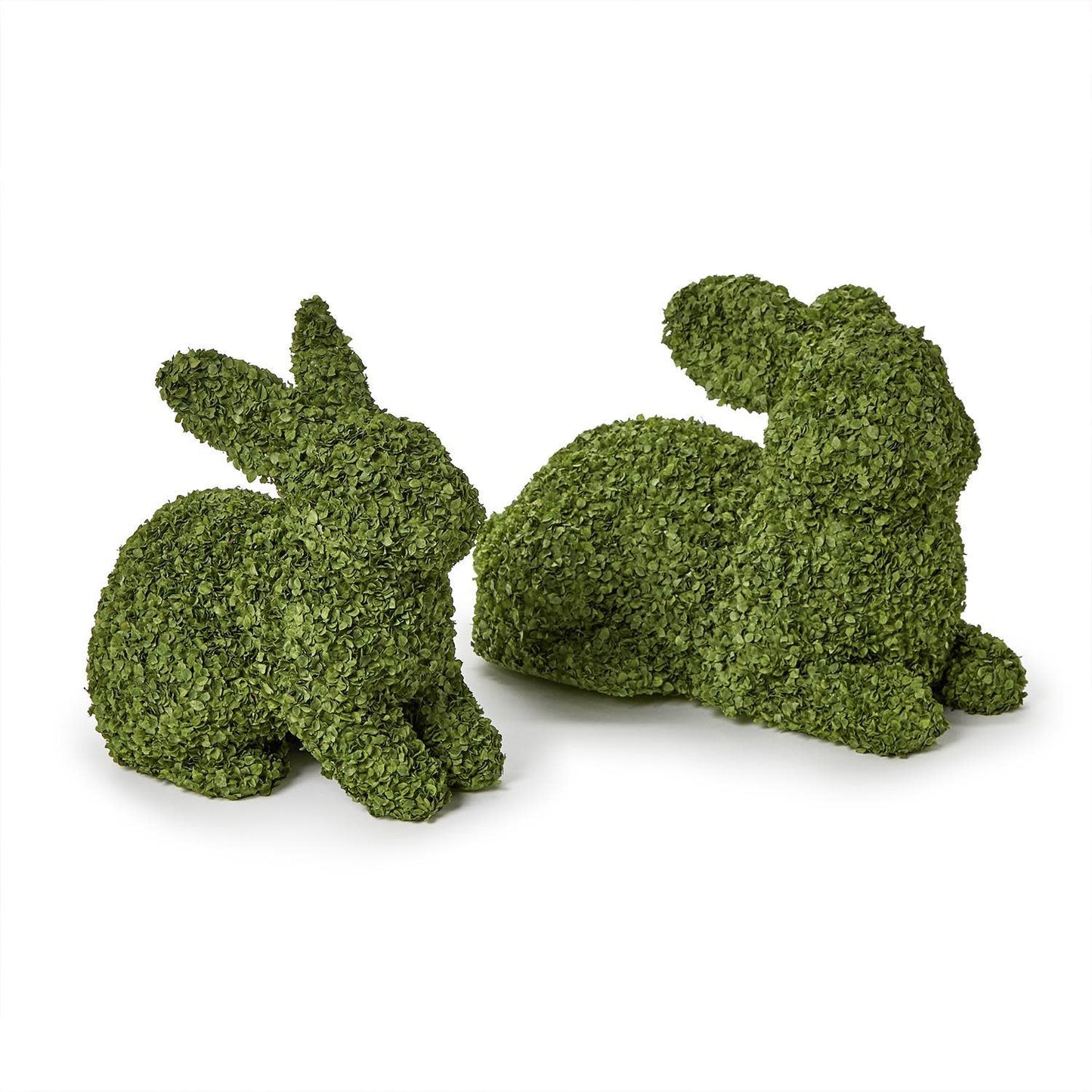 Preserved Natural Buckwheat Husk Bunny | Set of 2