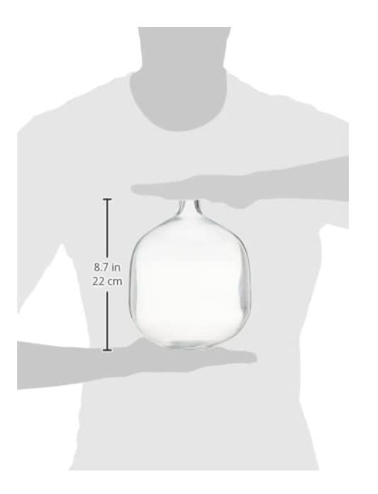 Glass Vase