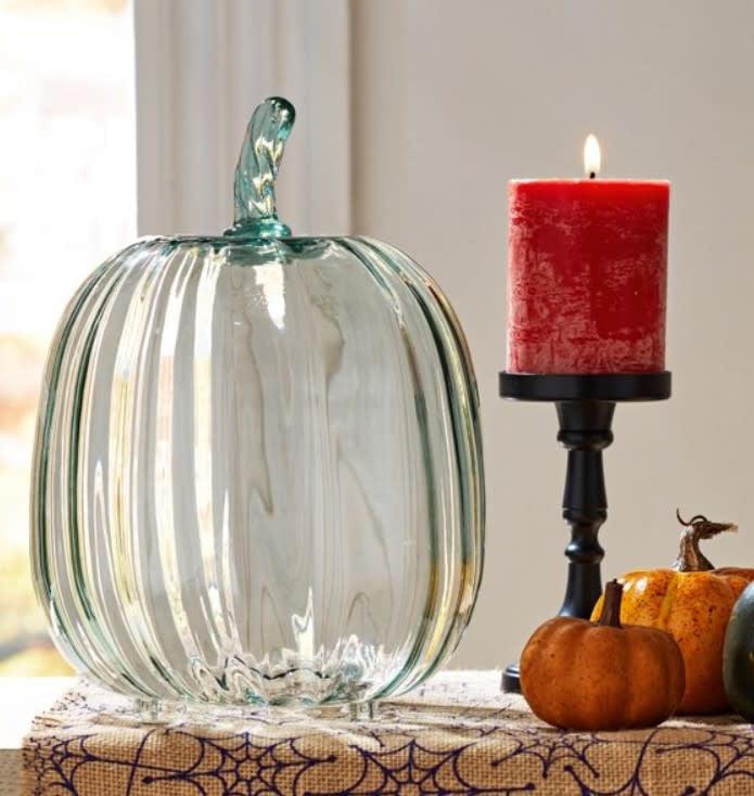 Glass Pumpkin Cloche | 11in