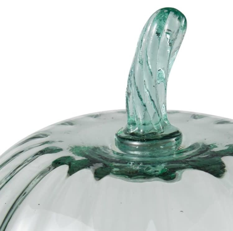 Glass Pumpkin Cloche | 11in