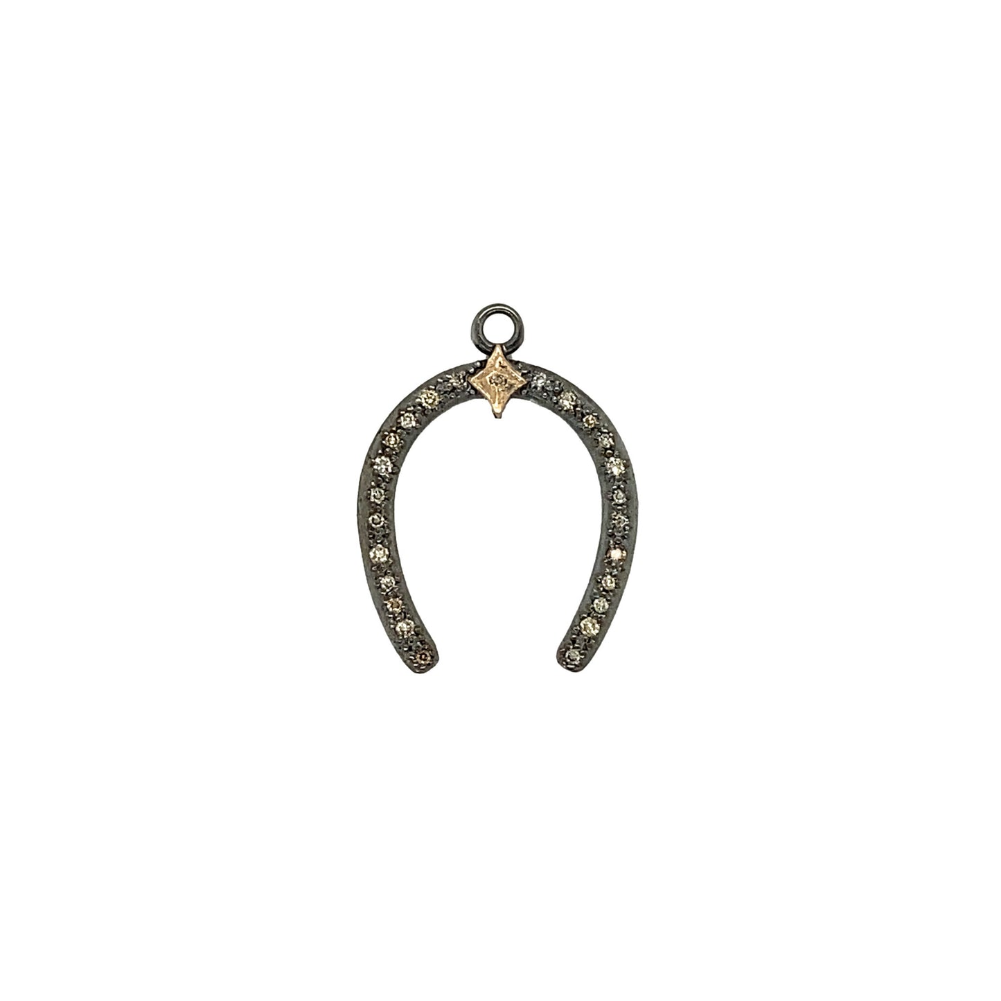 Horseshoe Charm