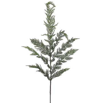 Cedar Spray | 30in