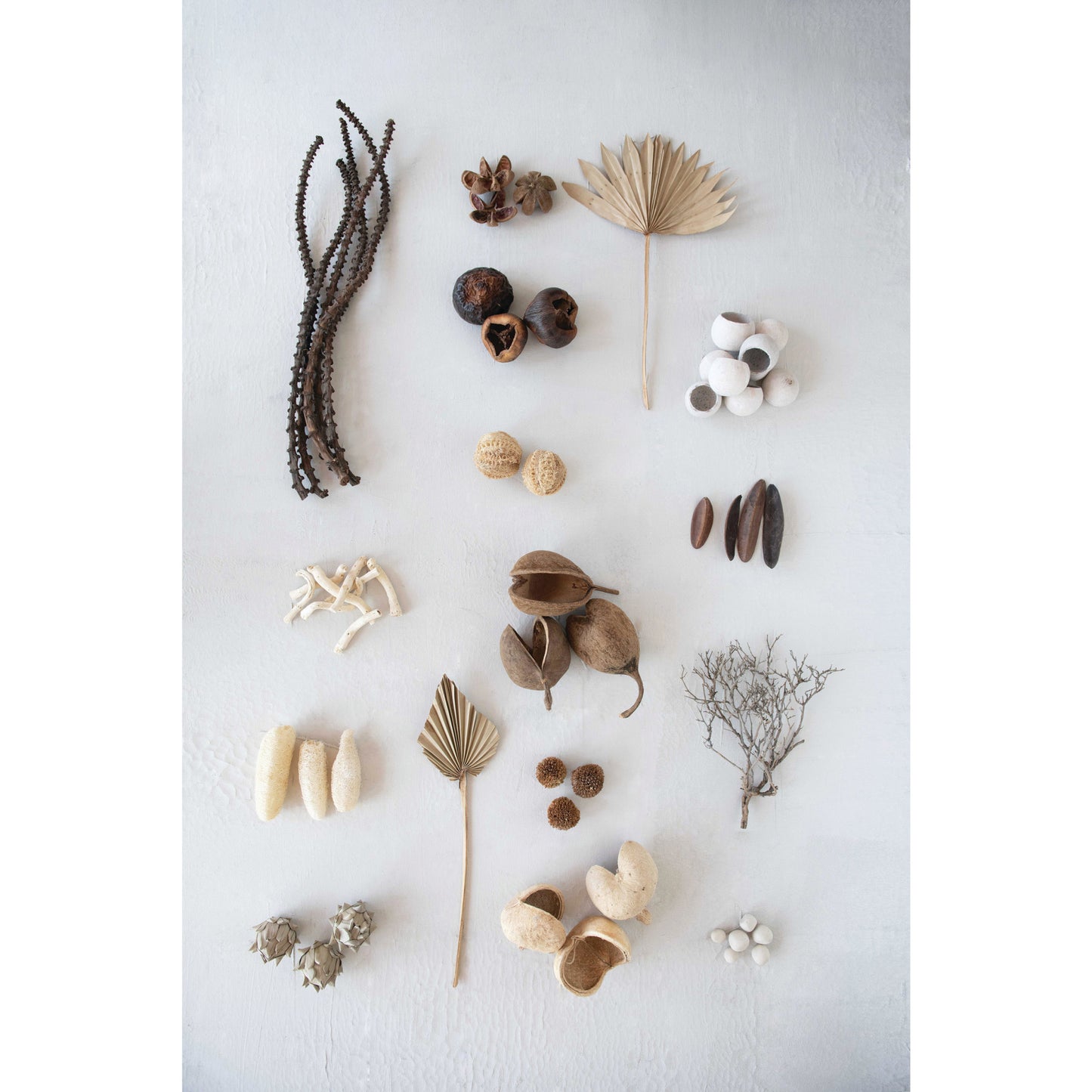 Dried Cauliflower Root