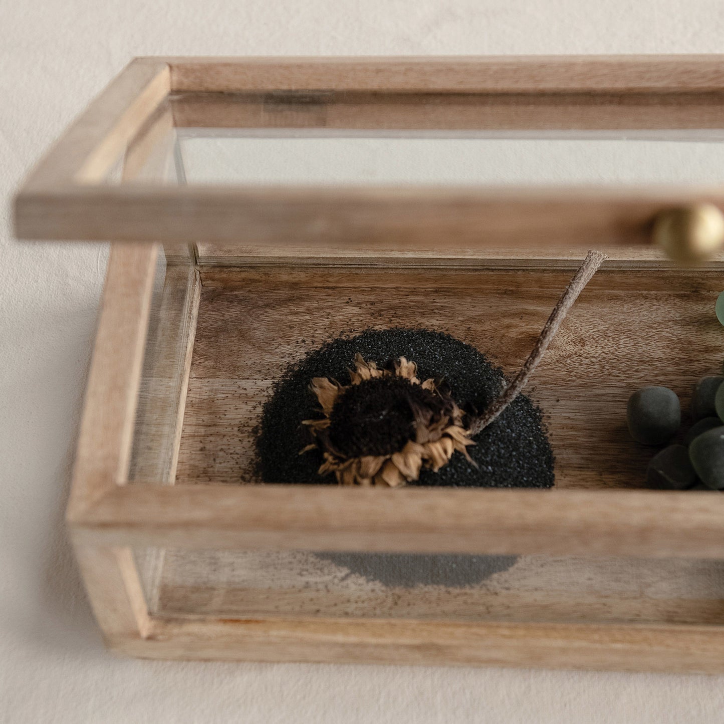 Mango Wood Display Box