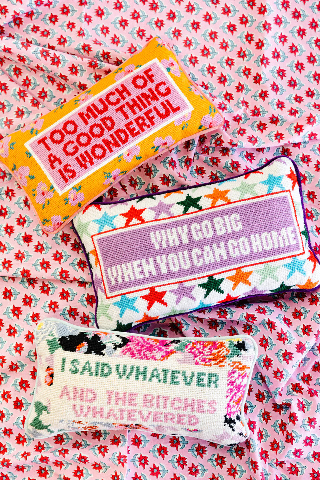 Needlepoint Pillow | Too Much of a Good Thing