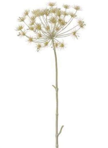 Cow Parsnip Spray | Beige Tan 38.5in
