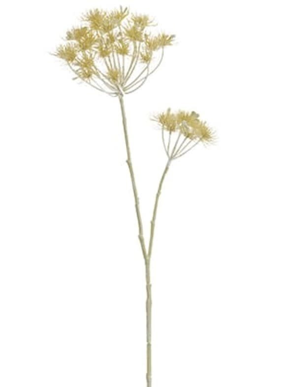 Cow Parsnip Spray | Beige Tan 38.5in