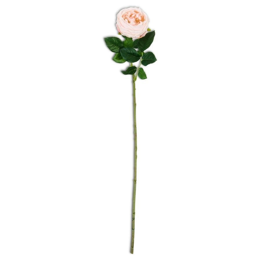 Peach Rose Stem