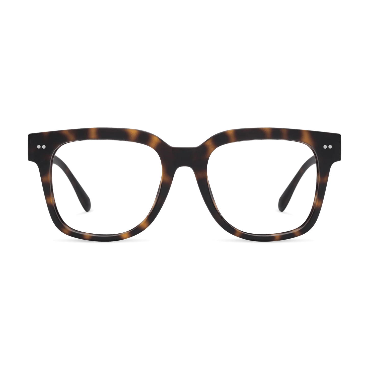 Laurel Tortoise | +3.00