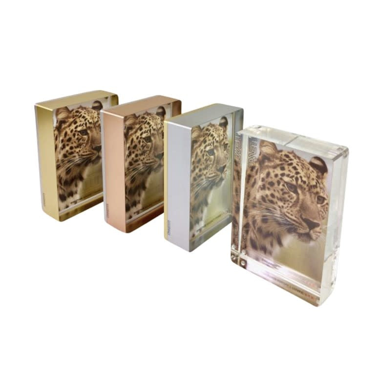 Prestige Magnet Frame