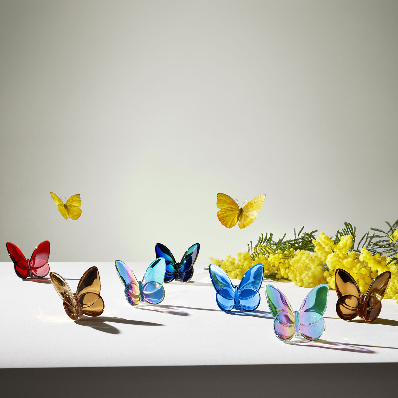 Baccarat Butterfly Iridescent
