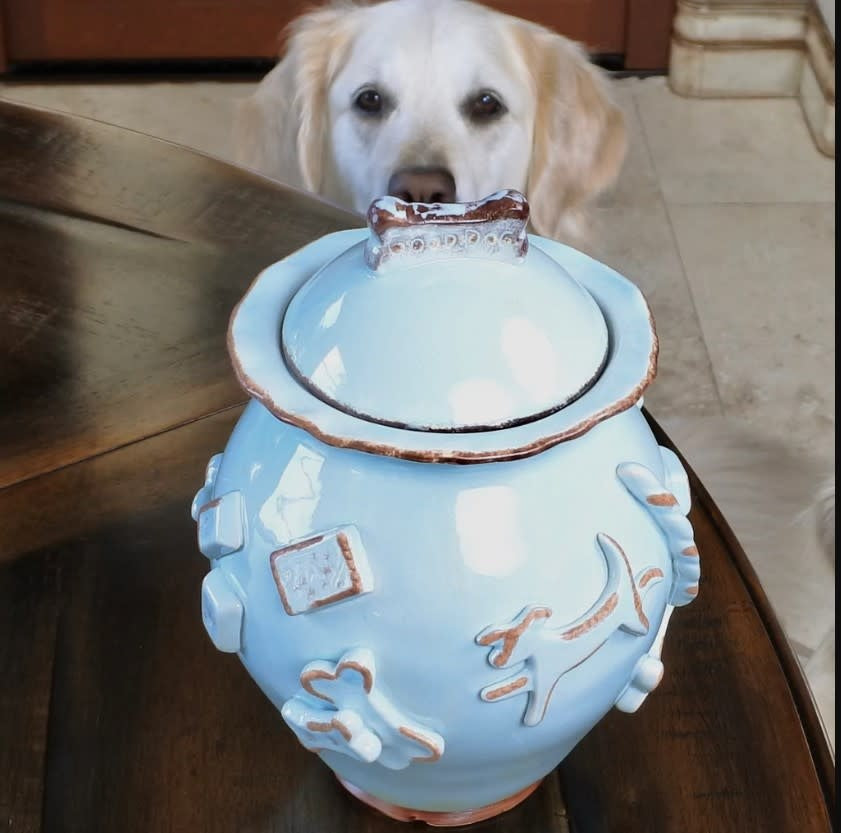 French White Dog Treat Jar