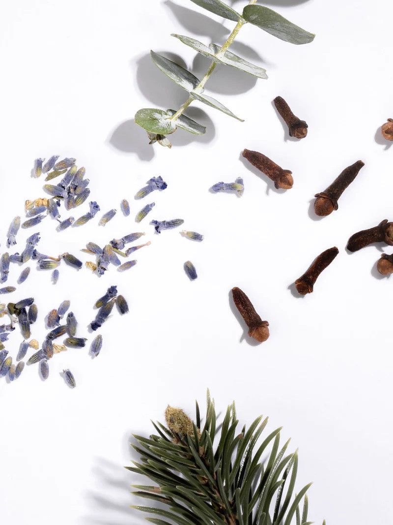 Pura Diffuser Refill | Pura Simply Lavender
