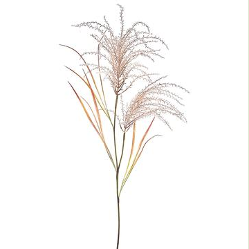 Reed Grass Spray | Taupe 54in