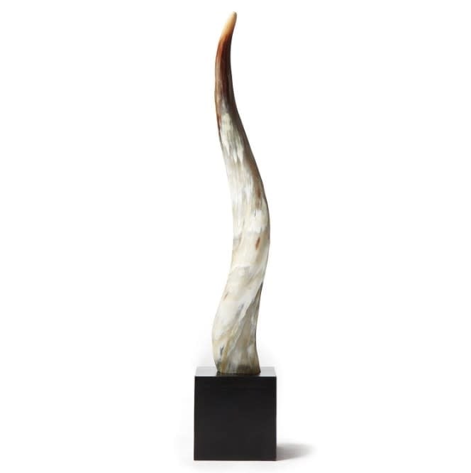 Yak Horn on Wood Base