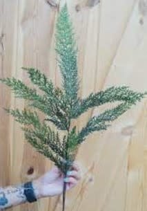 Cedar Spray | 30in