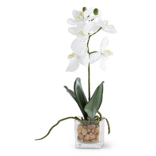 11" White Orchid In Vase