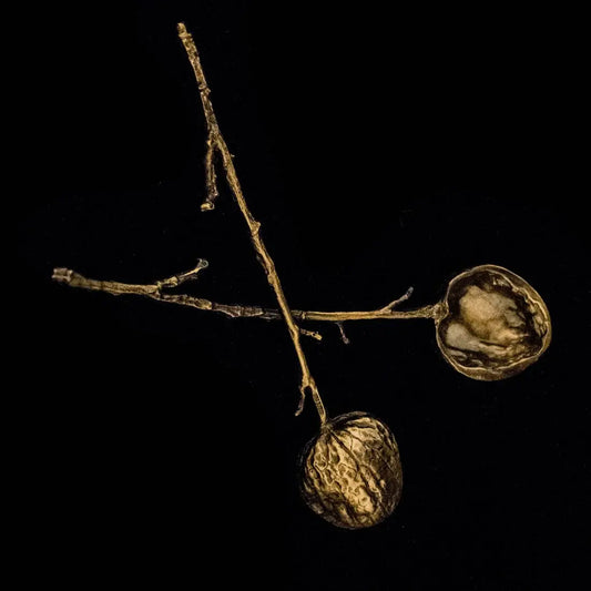 Walnut Spoons | S2 Bronzed Pewter