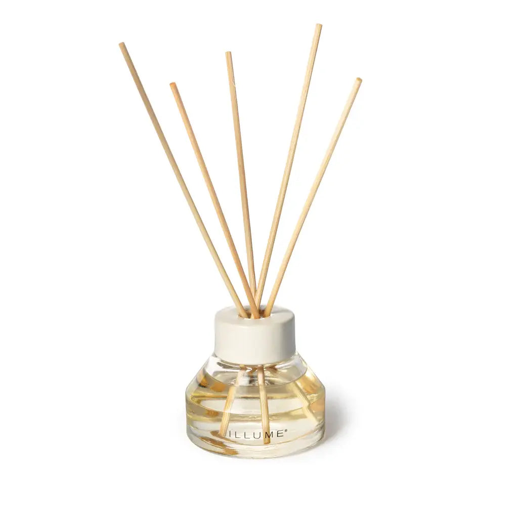 Aromatic Reed Diffuser | Hidden Lake 3oz
