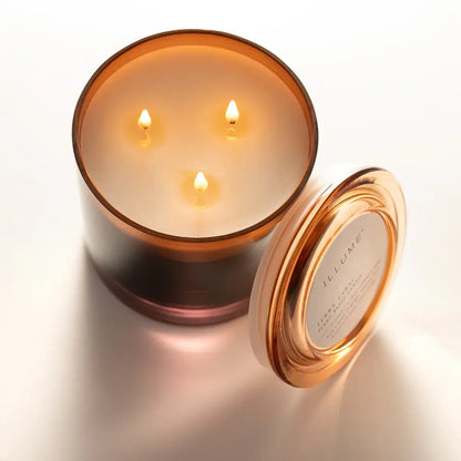 Statement Glass Candle | Terra Tabac 20.8oz