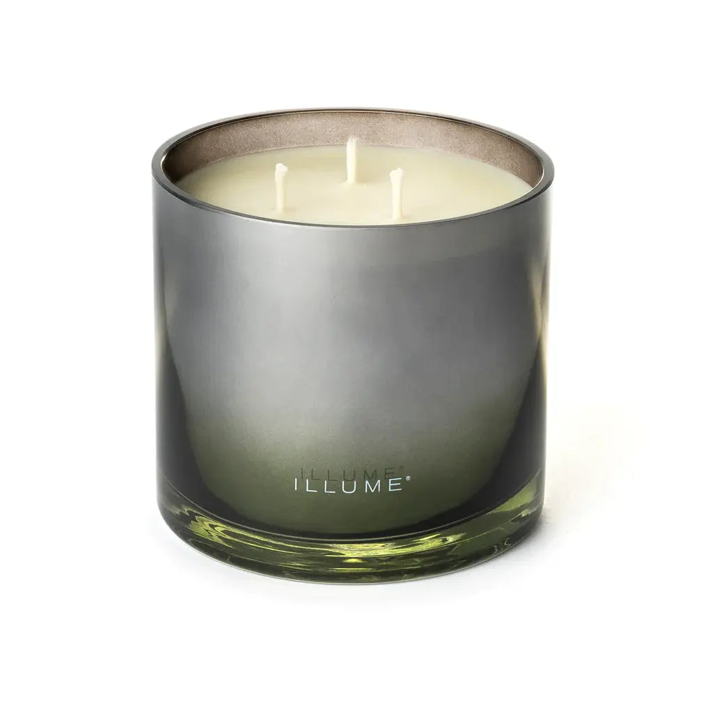 Statement Glass Candle | Blackberry Absinthe 20.8oz