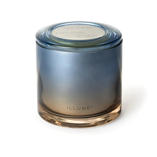 Statement Glass Candle | Citrus Crush 20.8oz