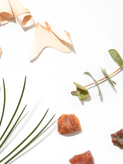 Pura Diffuser Refill | Apotheke White Vetiver