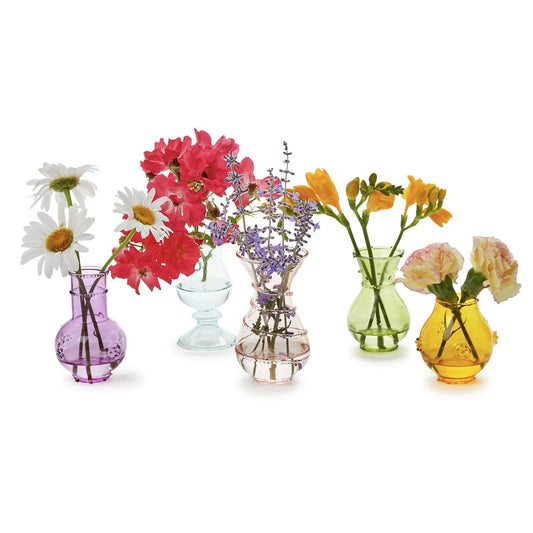Verre Hand-Blown Bud Vase | Set of 5