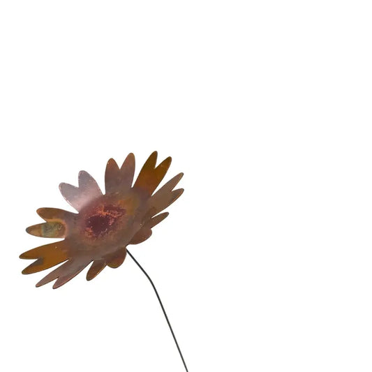 Copper 3.5in  Daisy Flower Spike | 18in