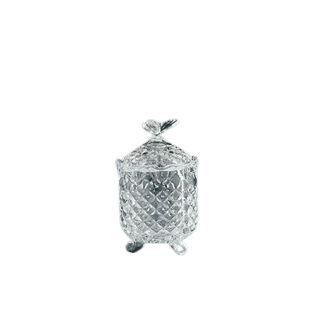 Glass Lidded Butterfly Jar | Clear 6in