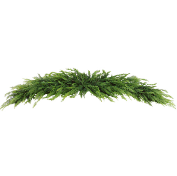 Cedar Swag Garland | 8in