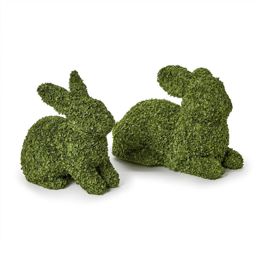 Preserved Natural Buckwheat Husk Bunny | Set of 2