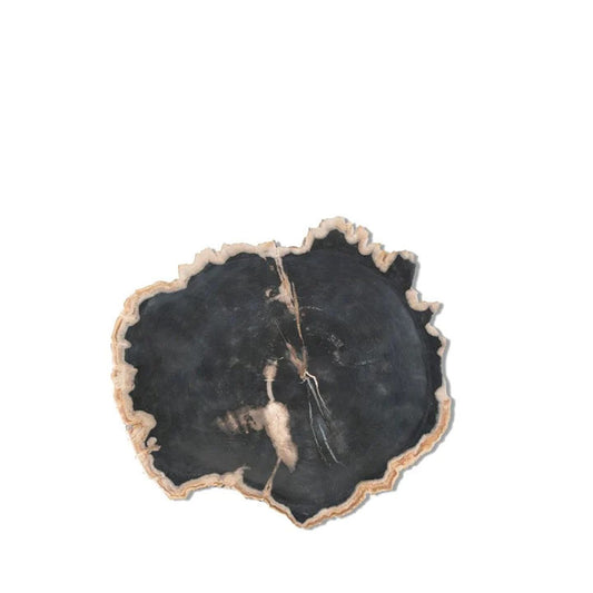 Petrified Plate - Small