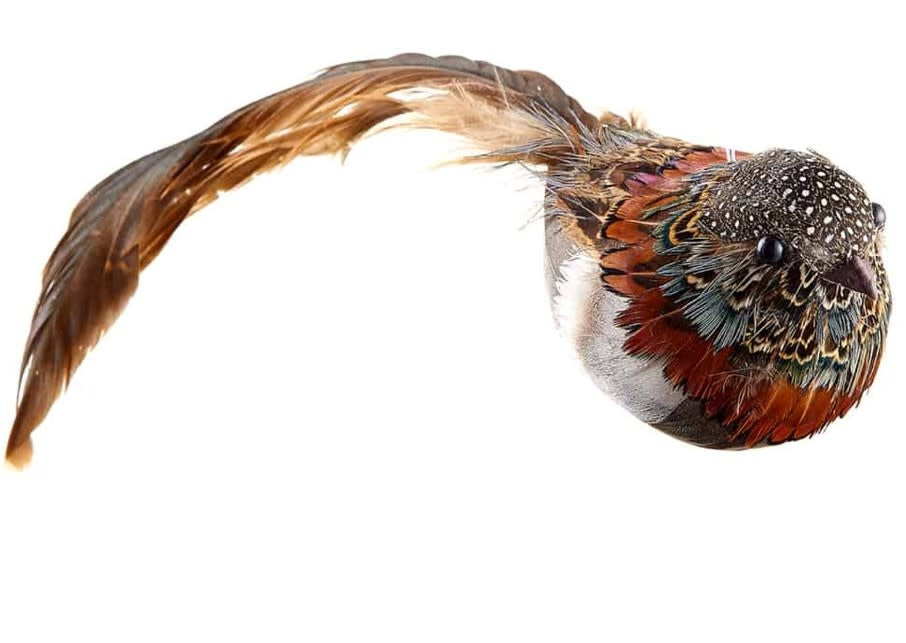 Bird Clip | Brown 6.5in
