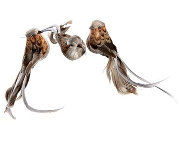 Bird Clip | Brown 6.5in