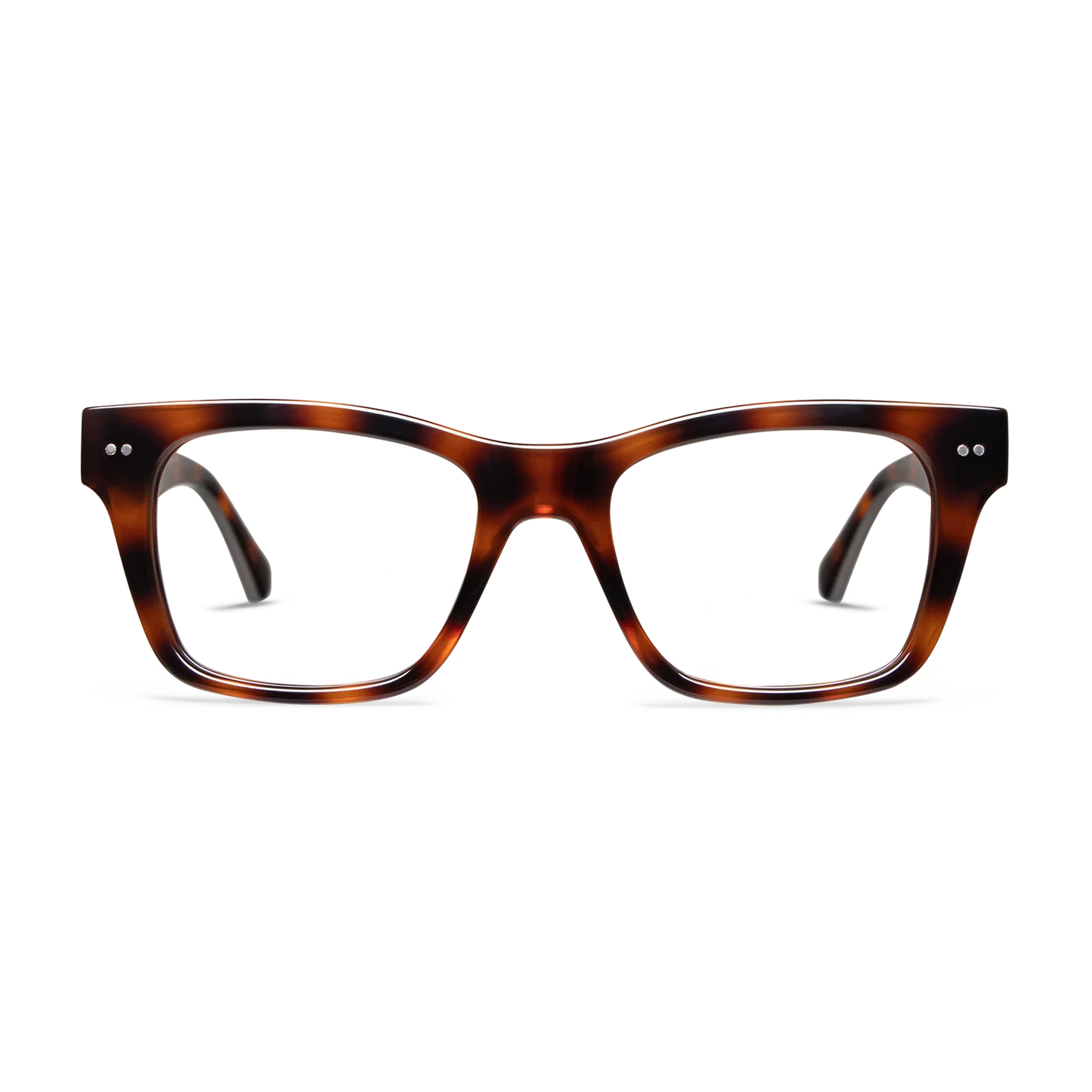 Cosmo Shiny Tortoise | +1.00