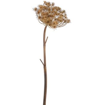 Cow Parsnip Spray | Beige Tan 38.5in