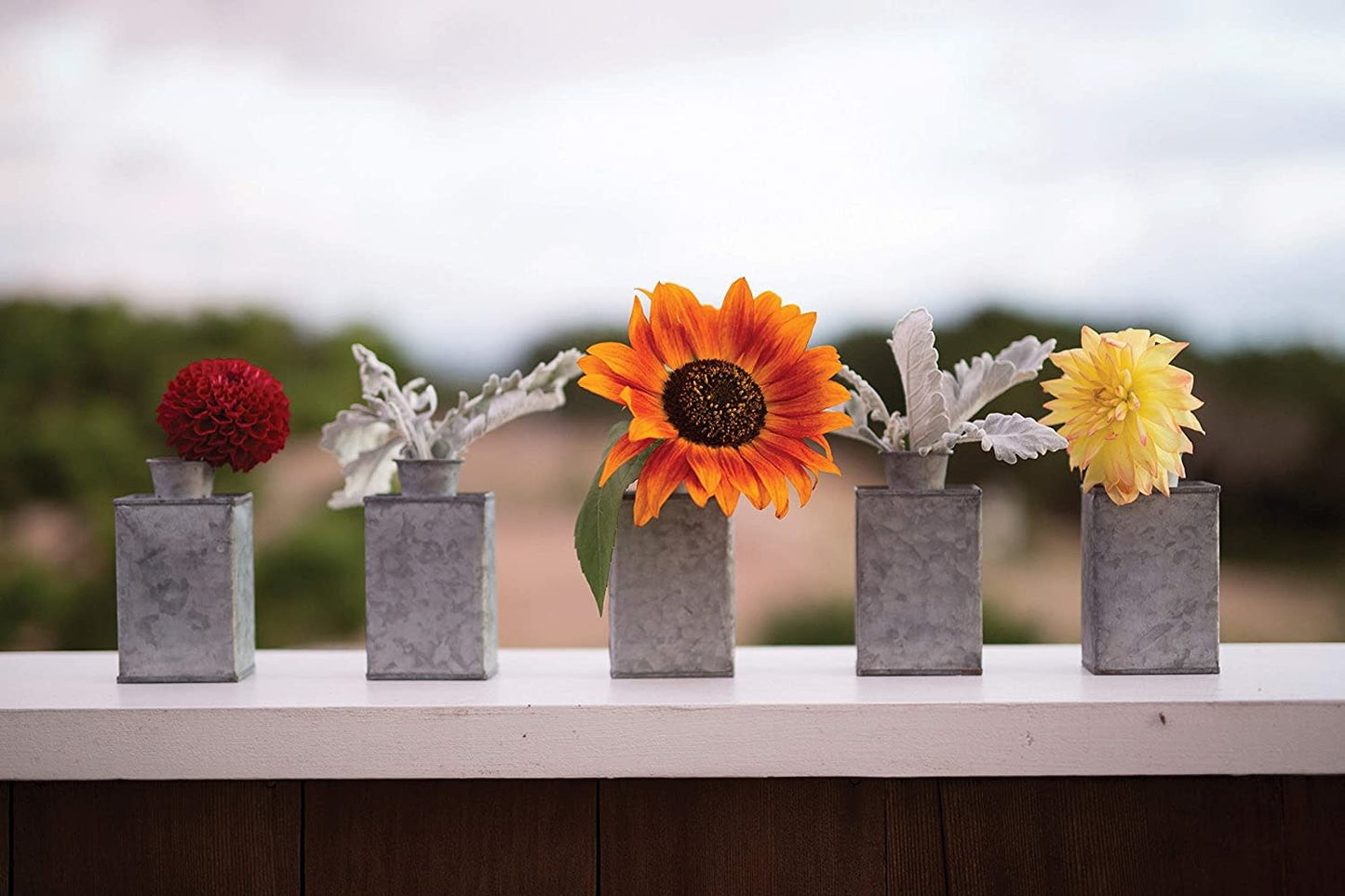 Galvanized Tin Test Tube Vase