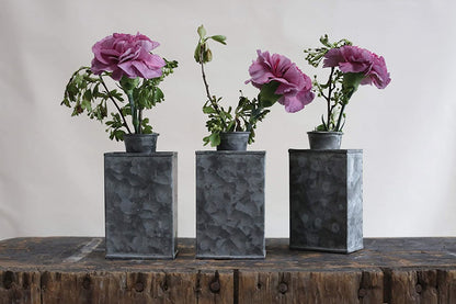 Galvanized Tin Test Tube Vase