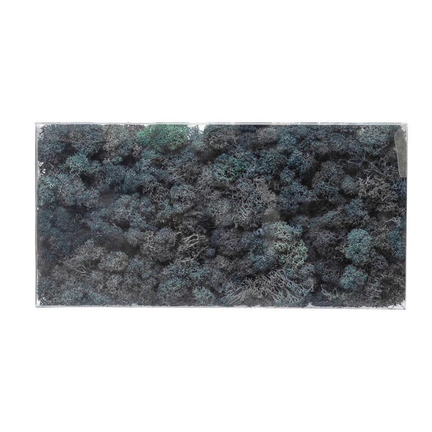 Dried Riccia Fluitans in Box