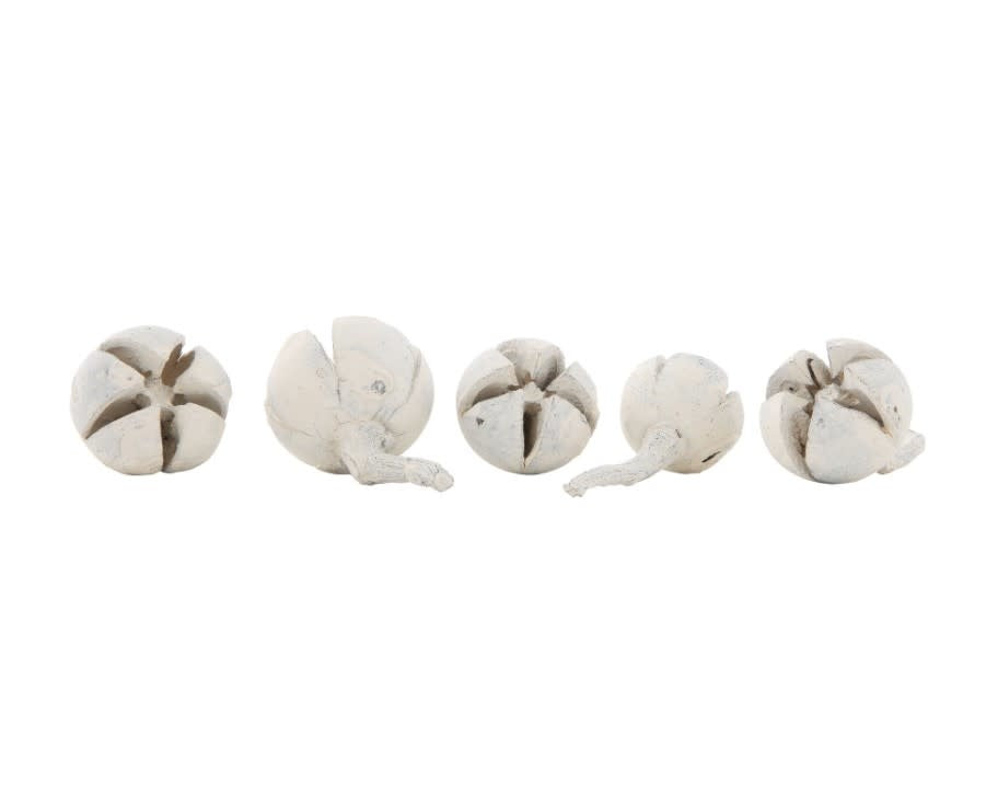 Dried Natural Schima Buds Vase Filler