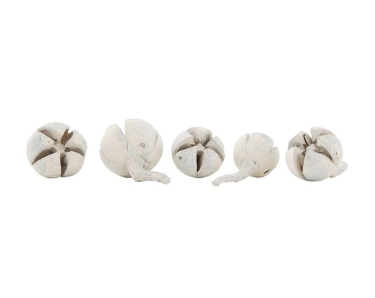 Dried Natural Schima Buds Vase Filler